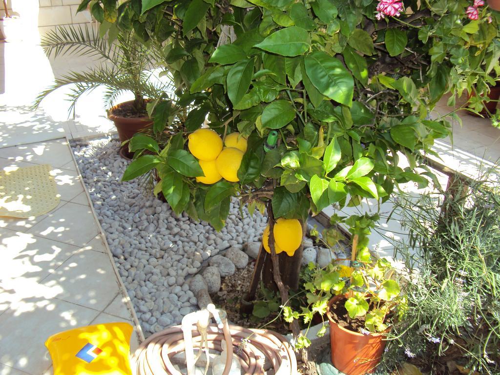 Apartamento Lemon