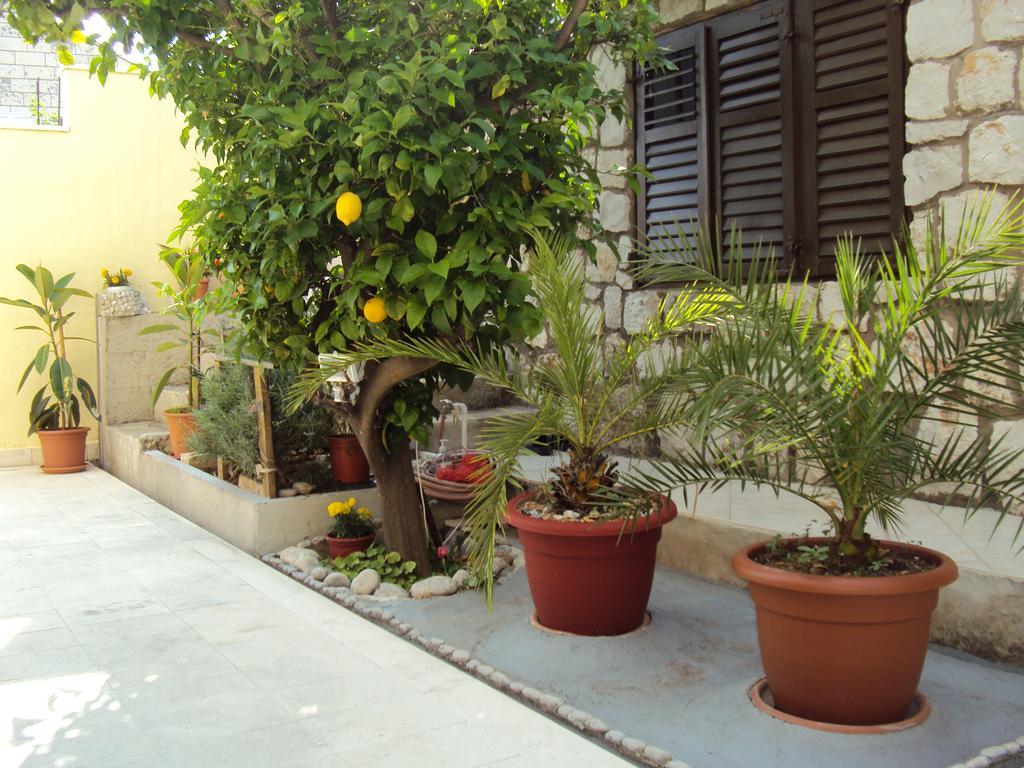 Apartamento Lemon